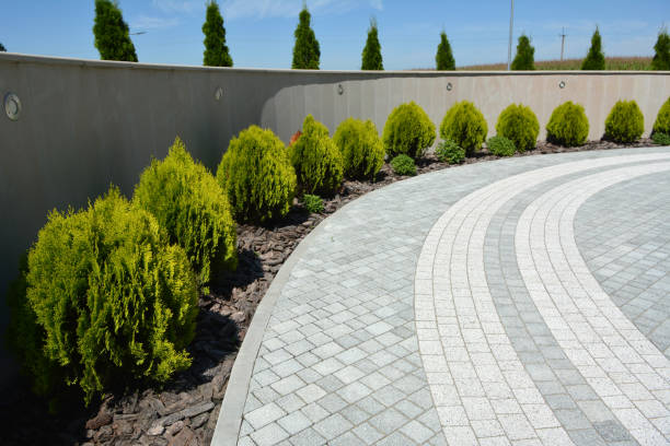 Best Custom Driveway Pavers  in Jacksonville, AL